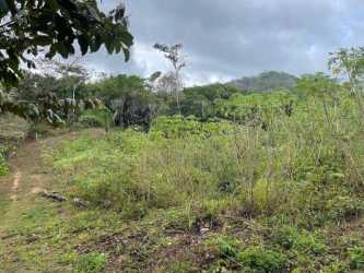 Elevated rural Panama land with dense trees and partial mountain views Penonomé Coclé region