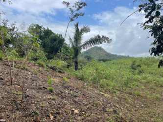 Elevated terrain with tropical plants overlooking distant hills rural land Penonomé
