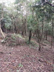 Land for Sale in Pedregal - 0 bedrooms