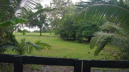 Mature tropical landscaping with trees and fenced lot at Playa Las Lajas Panama