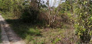 Land / Lot for Sale in El Higo - 0 bedrooms