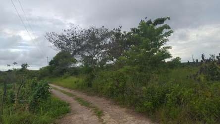 Vacant rural land with road access surrounded by lush vegetation San Carlos Panama
