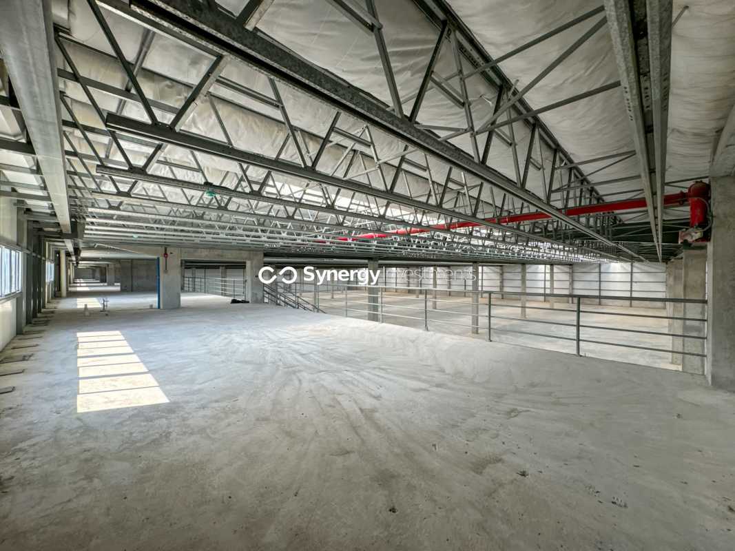 Interior view of large industrial warehouse with skylights and exposed steel structure in Panama City
