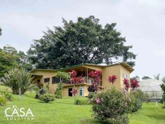 Yellow ranch style house with spacious terrace and mature landscaped grounds Boquete