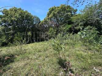 Mountain land with trees and open spaces ready for construction Sorá Panama