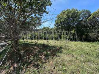 2,014m2 undeveloped mountain land with trees Sorá Chame Panama