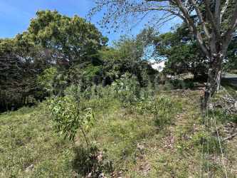 Wooded mountain lot with open field in Sorá Panama for rural residence