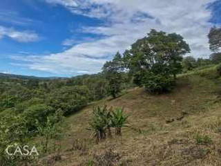 Land for Sale in La Unión - 0 bedrooms