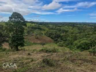 Expansive rolling hills with valley views at La Unión Rio Sereno Chiriquí Panama