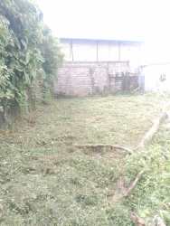 Grassy vacant lot with trees and fence shaded in Puerto Pilón District Colón province Panama
