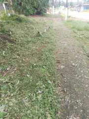 Land for Sale in Puerto Pilón - 0 bedrooms