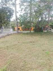 Colorful residential houses on paved road near Puerto Pilón Colón land for sale Panama