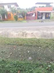 Fenced yard with overgrown grass, gate and brick wall vacant land Puerto Pilón Colón Panama