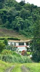 Spacious living room with fireplace, vaulted ceiling, large windows overlooking mountain views in Cerro Punta