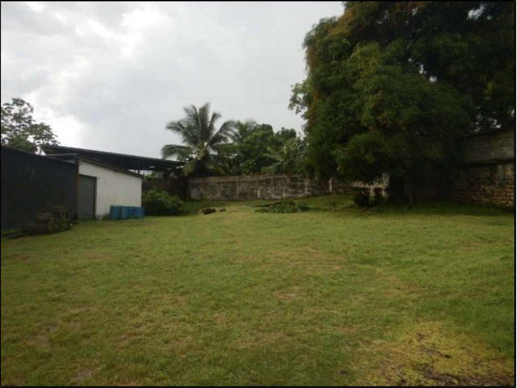 Large grassy outdoor yard with trees and shed in Llano Bonito Panama commercial property