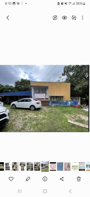 Garden with mature tree, lush greenery surrounding a fenced yard in Alcalde Díaz Panama