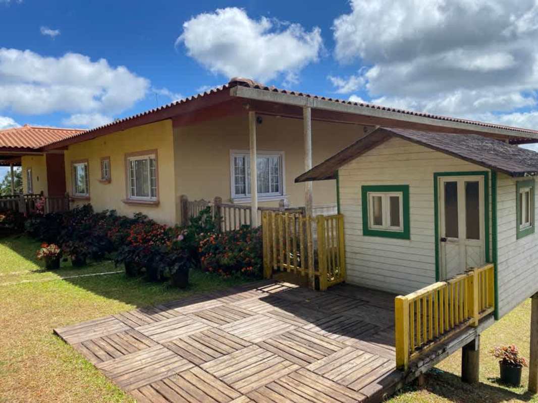 Natural fresh water streams running through lush forest on mountain land Cerro Azul Panama