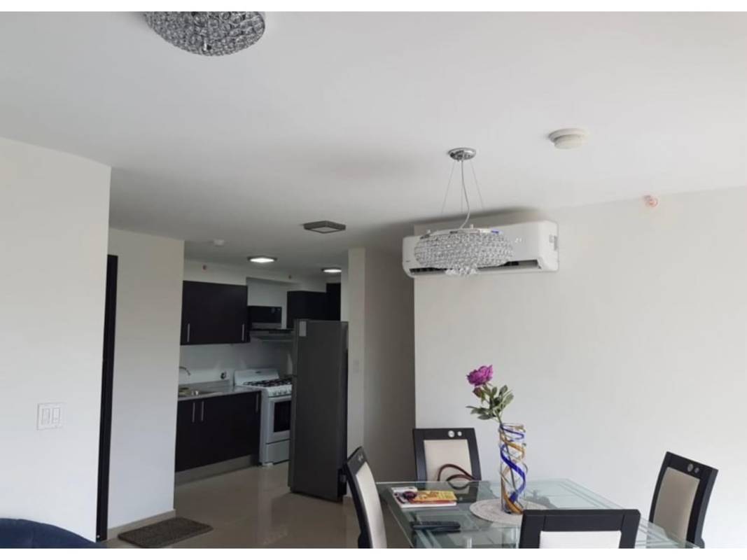 Outdoor pool surrounded by palm trees at PH Sky Park in Carrasquilla Panama City