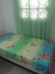 Room for Rent in Betania - 1 bedroom