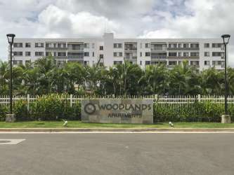 Outdoor pool with palm trees and sun loungers in Woodlands Panama Pacifico apartment complex