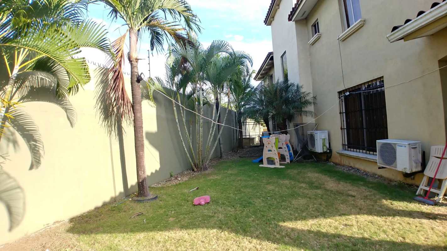 Landscaped backyard with grass and palm trees in Condado del Rey house Panama