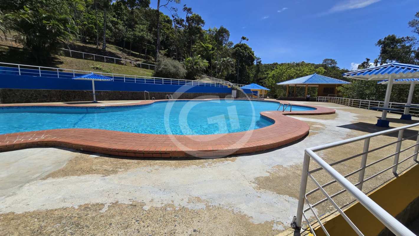 Outdoor swimming pool surrounded by lush landscape in Altos de Cerro Azul