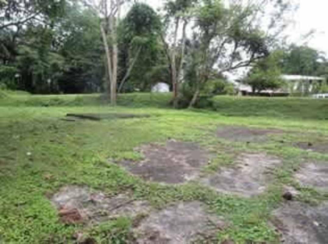 Vacant green lot with mature trees ready for development in Diablo Panama City