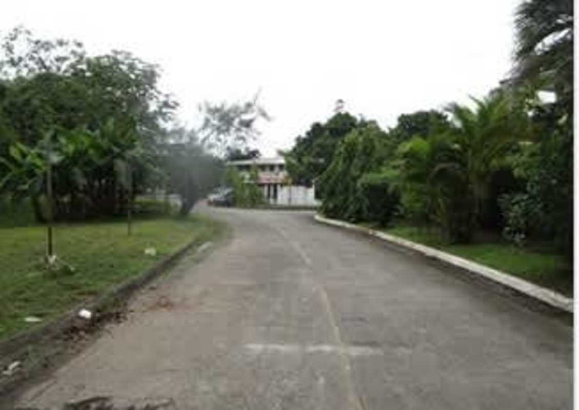 Curved private driveway tropical plants leading to property Diablo Panama City