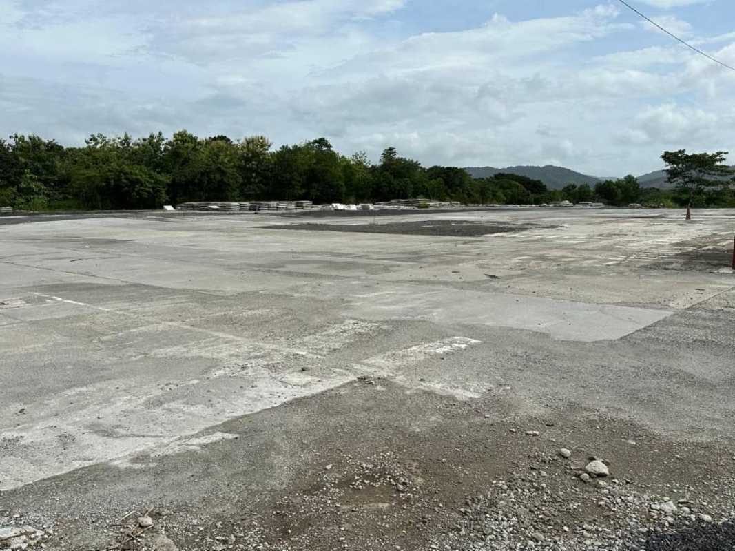 Large open paved industrial yard with natural green surroundings near Pedregal Panama