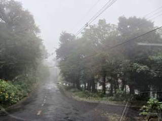 Land for Sale in Altos del María - 0 bedrooms