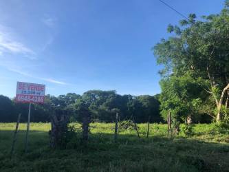 Fenced farm land with main road access for sale in El Manantial Pedasí Panama