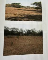 Natural landscape flat 2.5 hectare plot for agricultural use, Pedasí Panama