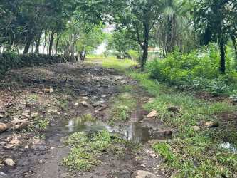 Muddy dirt road surrounded by lush forest in Boquete mountain Panama