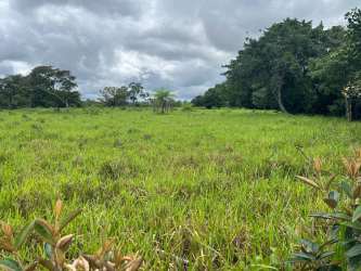 Large open field in mountain area surrounded by trees in Boquete Panama