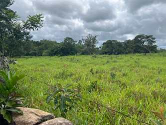 Expansive grassy lot bordered by trees and rocks in Boquete Panama