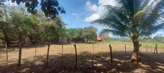 Aerial satellite view with coastal vegetation, water, roads Isla Cañas Los Santos Panama