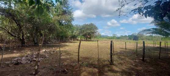 Rustic open land surrounded by greenery, fencing and palm near Isla Cañas beach Panama