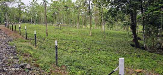 Green pasture and fenced farm area with cattle rural Panama estate