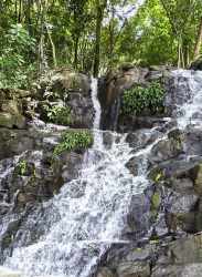Countryside forested landscape with creek and lake views in Los Tinajones Panama