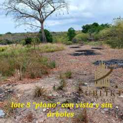 Aerial image of multiple vacant titled land plots near Playa Corona beach