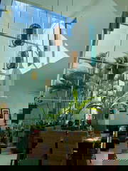 House for Rent in San Francisco - 4 bedrooms