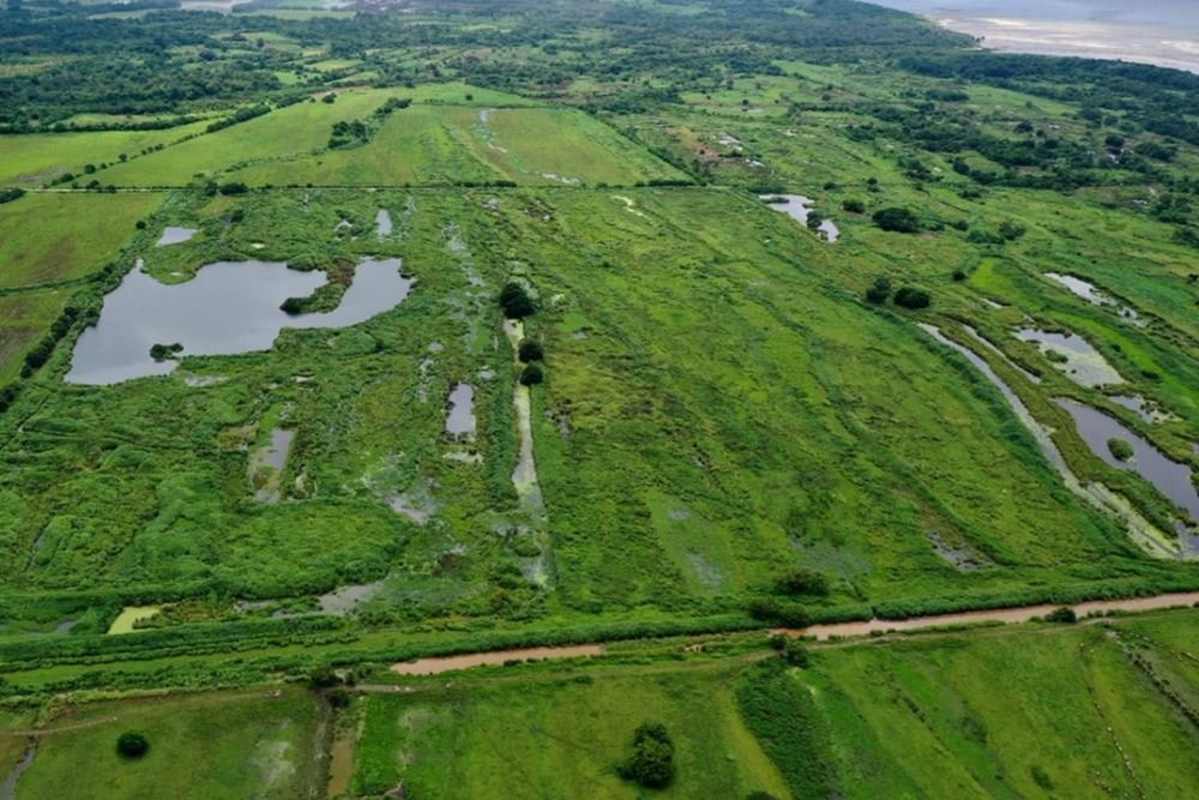 Aerial view of Pacora estate with lake, flat terrain, grasslands and access roads