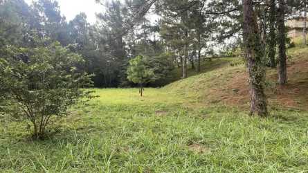 Green mountain lot surrounded by trees and forest in Altos del María Panama