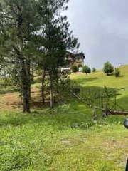 Land for Sale in Altos del María - 0 bedrooms