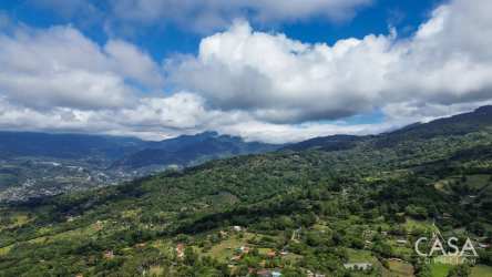Green forested highland lot in Boquete Panama with mountain background