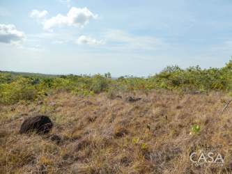 Open undeveloped land with dry grass ready for ecological development San Carlos Panama