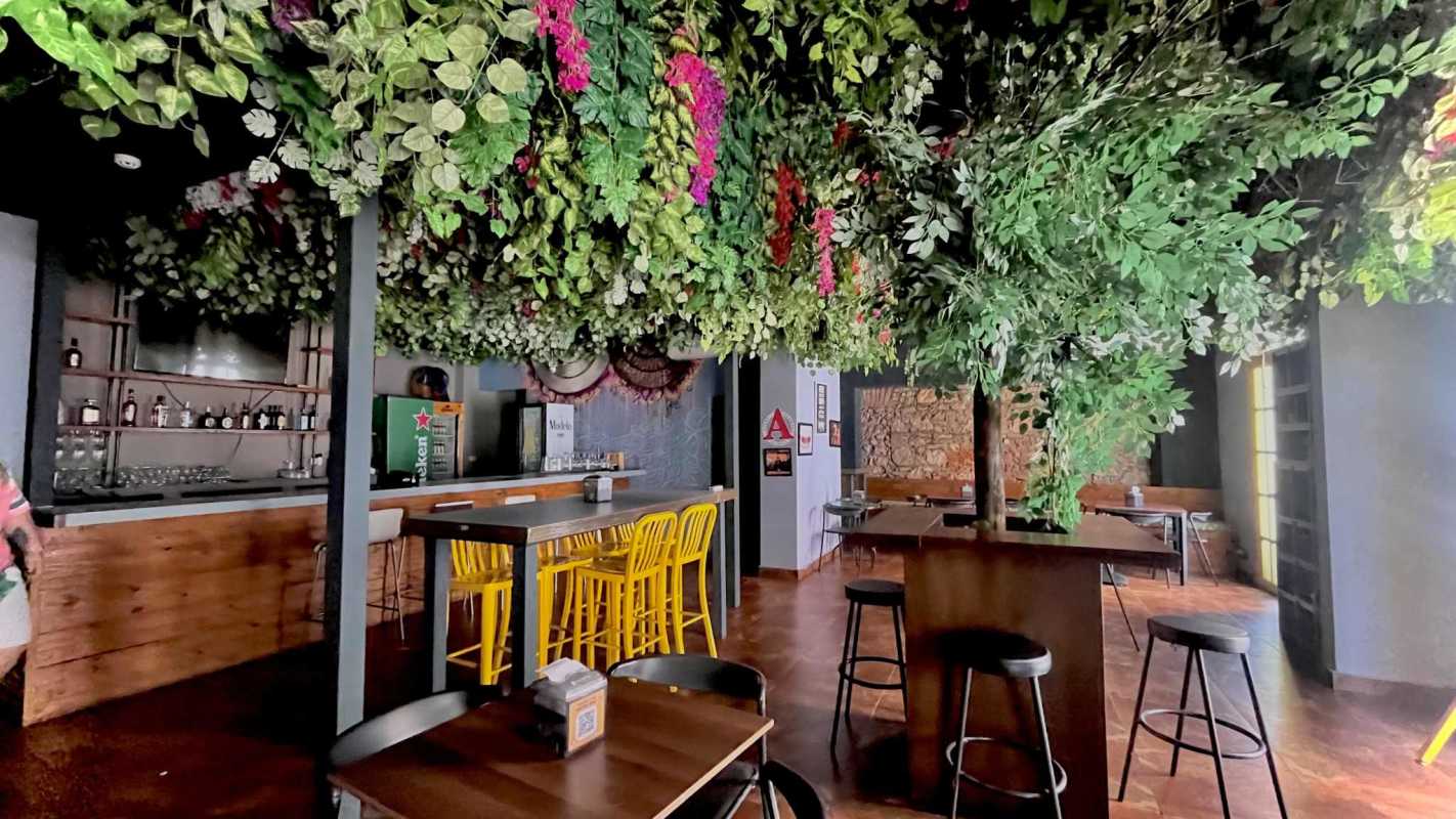 Industrial chic bar interior with hanging plants and neon lighting Casco Viejo Panama