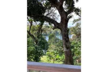 Balcony panorama overlooking Gatun Lake surrounded by rainforest in Spanish villa Panama