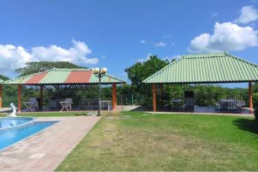 Outdoor swimming pool surrounded by lawn, gardens and social area at Hacienda La Florenciana San Carlos