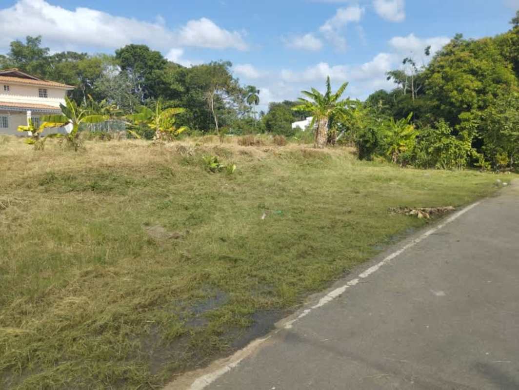 Open grassy land on paved avenue in Juan Díaz close to main highway Panama City
